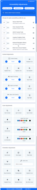 AccessiBE options panel